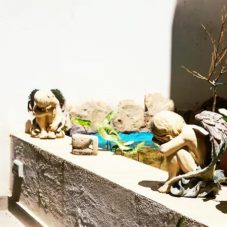 Dioor Luxurious By Dahlia Daire *