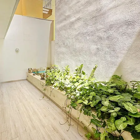 Dioor Luxurious By Dahlia * San Ġiljan