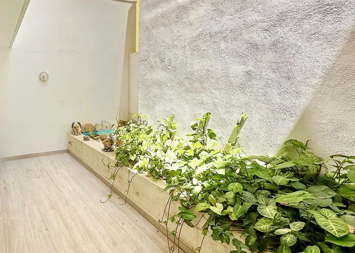 Dioor Luxurious By Dahlia * San Ġiljan